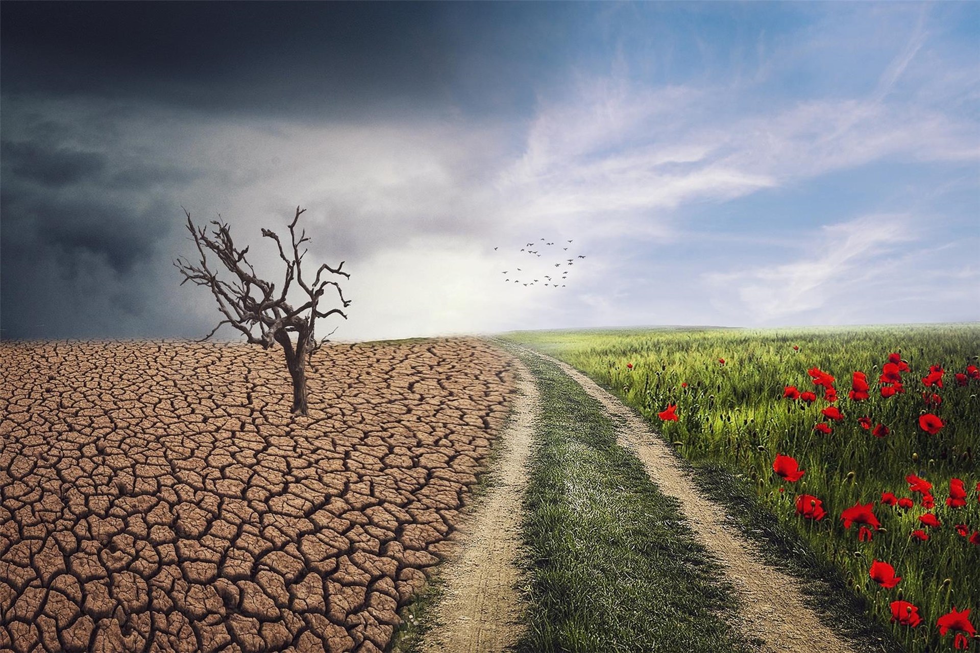 Klimawandel